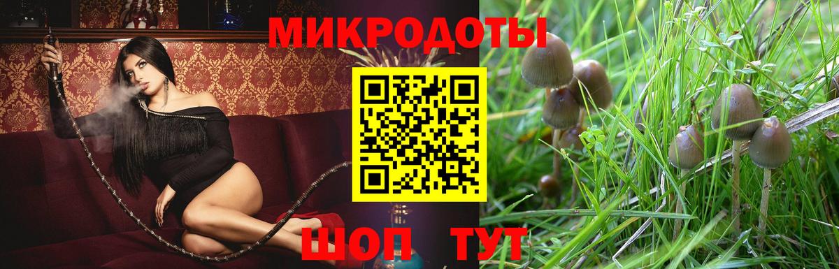 Галлюциногенные грибы Psilocybe  Галлюциногенные грибы прущие грибы  Серов  Вход с VPN 